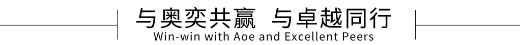 奥奕咨询成功案例